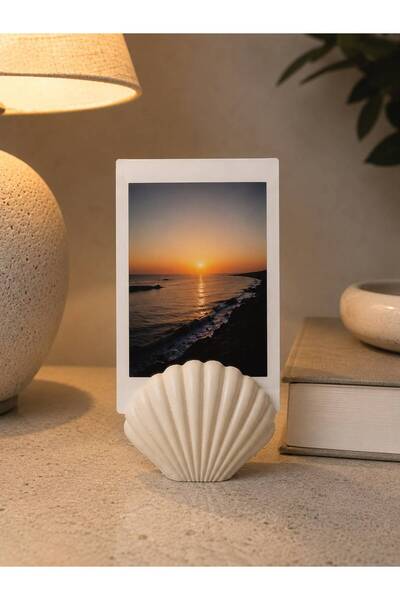 MORROW WORKS Deniz Kabuğu Tasarımlı Dekoratif Fotoğraf ve Not Tutucu