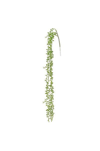 OEM Creanga Verde cu Fructe Curgatoare 80cm