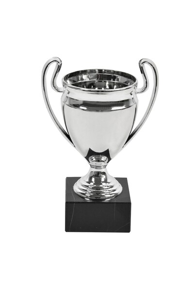 OEM Trofeu Argintiu cu Baza de Marmura 16cm
