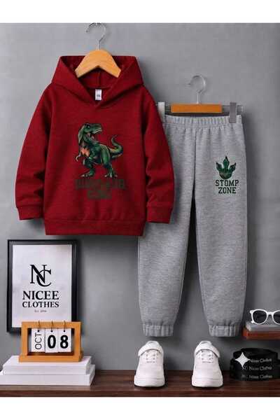 NC Nicee Clothes Children's Tracksuit Set Unisex (Dinosaur King Print Winter)
