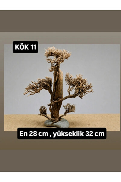 KÖK 11
