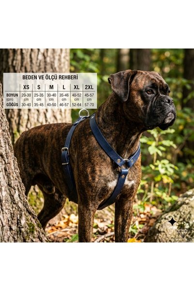 EL YAPIMI Genuine Leather Navy Blue Dog Chest Harness and Leash Set - Luxury Adjustable Pet Vest