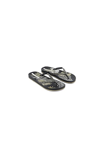 İpanema Women Anat Nature III Flip,Flops, Black