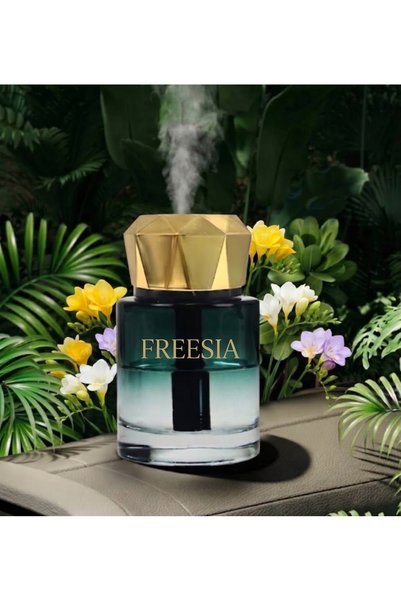 Başkenttekno Araç İçi Aroma Difüzörü Hava Nemlendirici Yıldız Tavan Işıklı Şa...