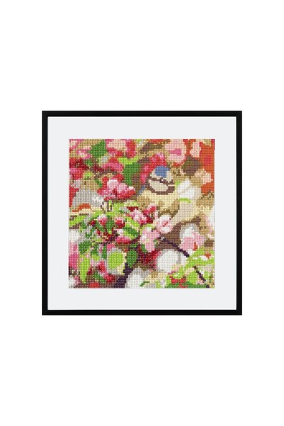 Generic Brand Set creativ pictura cu diamante, Diamond painting, Flori, Craft Sensations(Flori) Flori