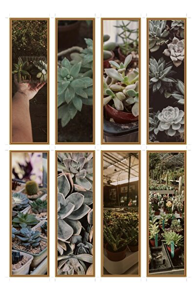 OEM Semne de Carte Set de 8 Bucati cu Plante Suculente, Design Floral, Carton...