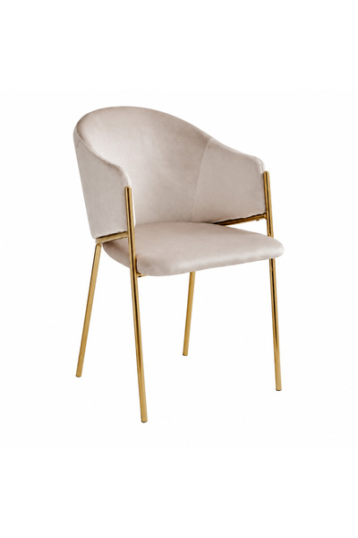 Generic Luxury Sitting Chair Beige