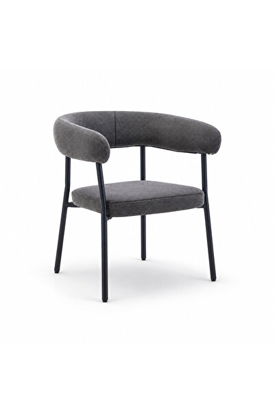 Generic Modern Chair in Dark Gray