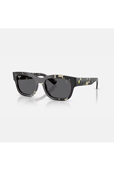 Ray-Ban RAYBAN Asetat Unisex Güneş Gözlüğü 0RB2228M F7038753 HN