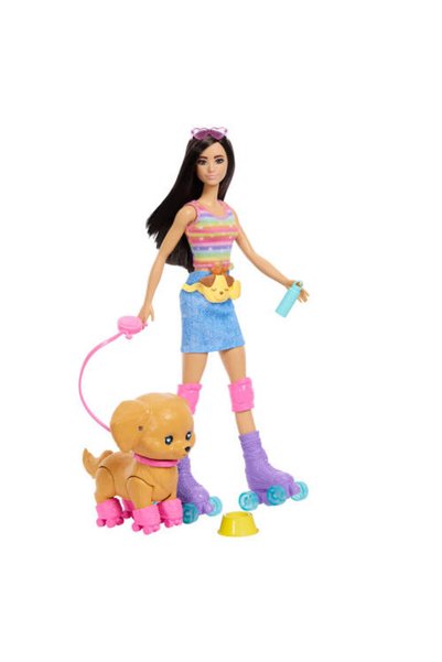 Barbie ® Paten Eğlencesi - Kahverengi Saçlı
