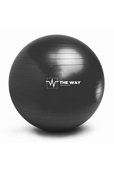 OEM Minge de fitness anti-explozie, pompă inclusă, 55 cm, TheWay Fitness