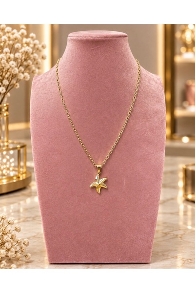 Gold Deniz Yıldızı Kolye✨