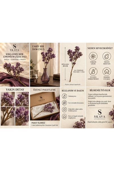 Şoklanmış Mor Limonium (Statis) Çiçek Dalı 20 cm 3–4 Başlı 1 Adet
