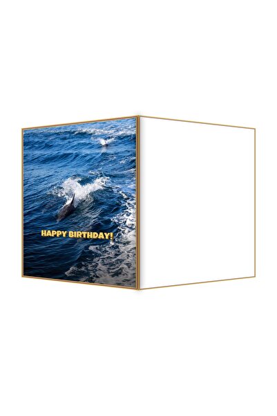 OEM Felicitare Aniversare Delfin Jucaus Splash, 13.3x19.4cm Pliata