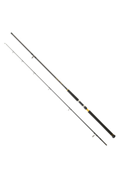 daiwa LEGALIS SJ CF 2.90M 28-84GR 2P SHORE JIG KAMIŞ