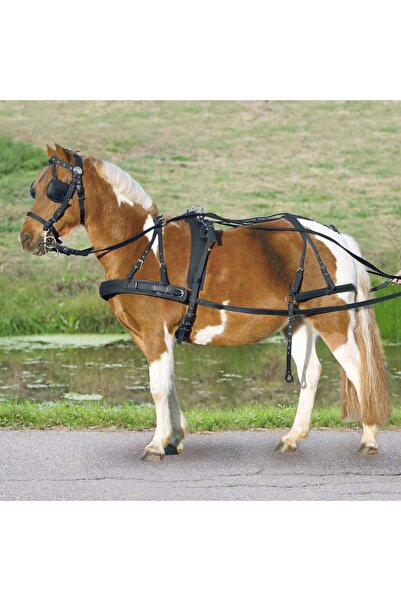waldhausen Pony and Shetland Synthetic Single Horse Harness - Black, Shp