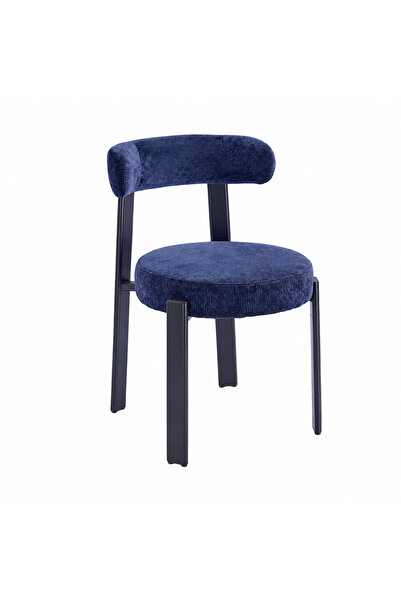 Generic Modern Chair in Blue Color