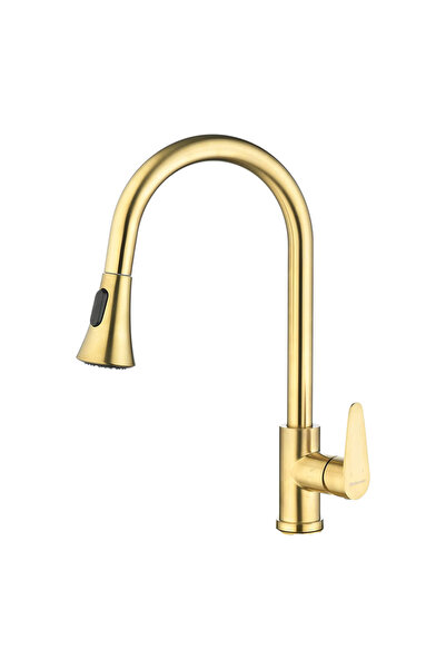 helemend Europe Made 5 Year Warranty Golden Cloud Mixer Grinder