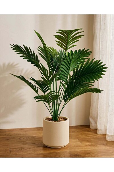REDTAG Artificial Palm Plant In Beige Pot 78cm