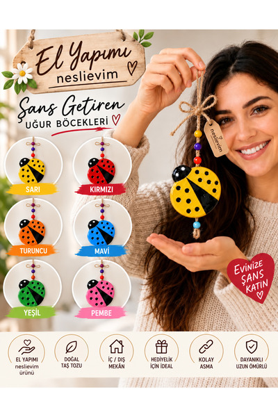 🐞 Şanslı Uğur Böceği Dekor Seti