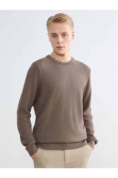 LC Waikiki Lcw vision beige bicycle collar checkered men's knit sweater