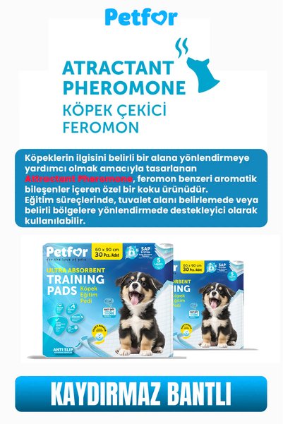 Petfor Köpek Eğitim Pedi 60x90 Kaydırmaz Bantlı 60 Adet