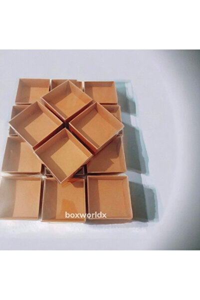BOXSTATION 9x9x3 Asetat Kapaklı Kraft Kutu 10 Adet
