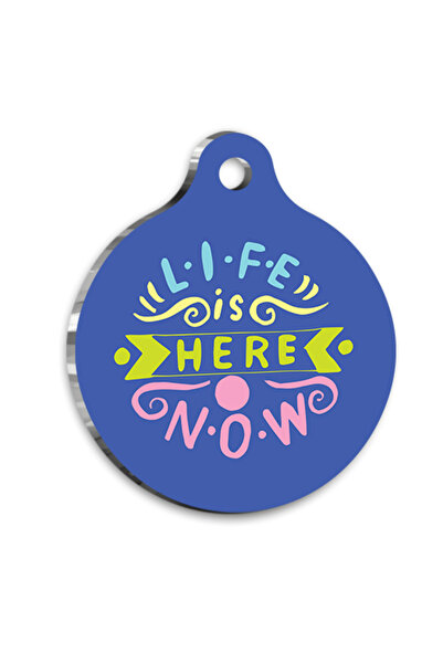 Pet Tag Art Qr-Gy0086-M