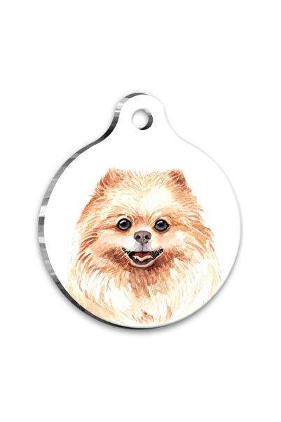 Pet Tag Art Qr-Ecs123-M