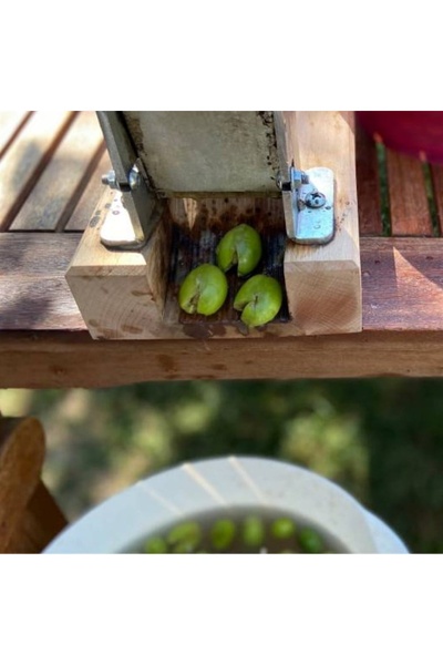 Kadıoğlu C2 Zeytin Kırma Aleti