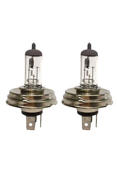 bulbs Αλογόνου Χ4 12V 60/55W Αυτοκινήτου GS 2 Τεμάχια (CAR0000866)