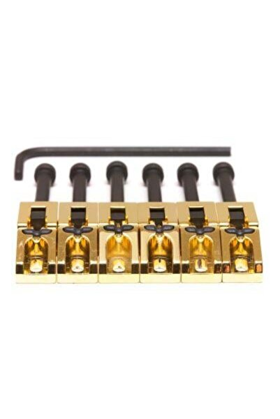 GRAPHTECH SS Floyd Rose Ssddles Gold 6 String