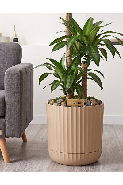 TEMMUZ HOME 11 L Tabaklı Büyük Boy Plastik Çiçeklik - Salon & Ofis Dekoratif Saksı