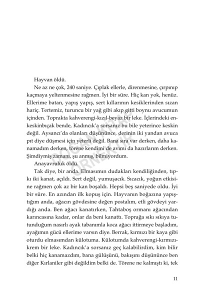 Doğan Kitap Kırlaniler / Gamze Arslan / / 9786258593686