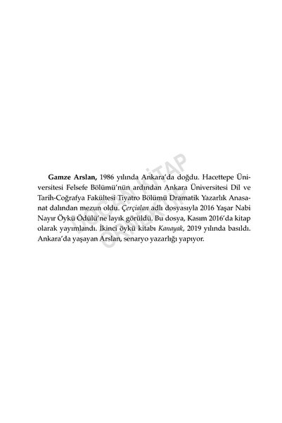 Doğan Kitap Kırlaniler / Gamze Arslan / / 9786258593686