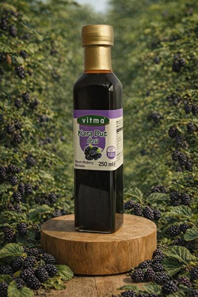 Vitma Karadut Özü Soğuk Pres 250ml