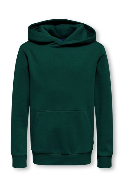 Only & Sons Kapuzenpullover OSJCERES Sweatshirt