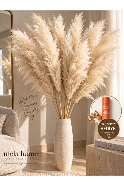 MELA XXL 12li Doğal Kurutulmuş Pampas Bohem Design I Sac Spreyi HEDIYE