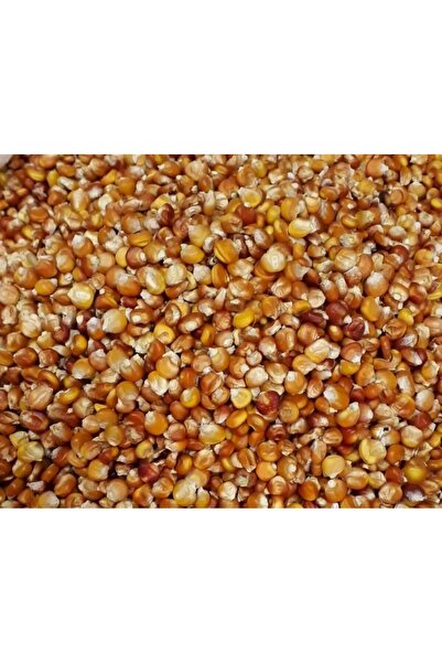 Karahasanoğlu Tarım Yerli Kokulu Köy Mısır Tohumu 1 KG