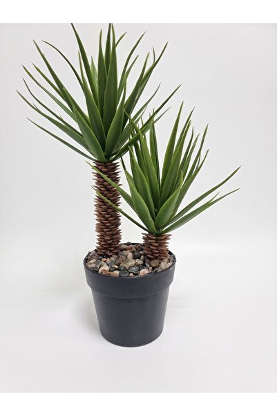 Çiçekmisin Mini Siyah Plastik Saksıda Iki Dal Yapay Kaktüs Aloevera