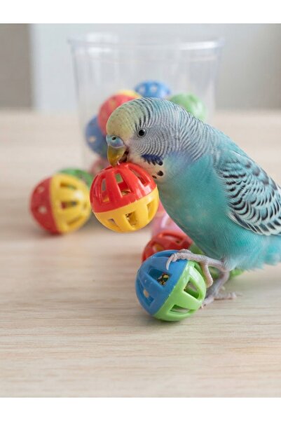 TUĞRA PET MARKET Bell Ball Bird and Cat Play Ball Toy (2 PCS)