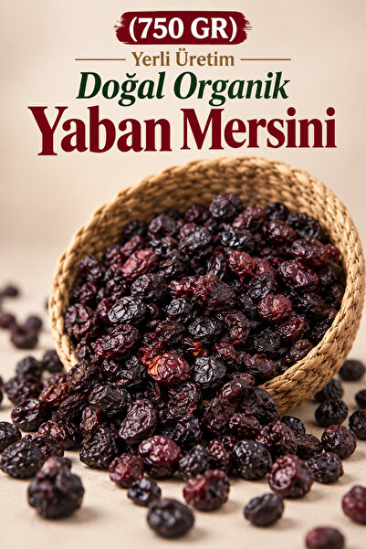 ÜLKÜ KURUYEMİŞ (750 GR) Yerli Üretim Doğal Organik Yaban Mersini Hediyelik At...