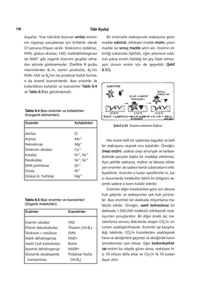 Hipokrat Kitabevi Tıbbi Biyoloji Ders Kitabı