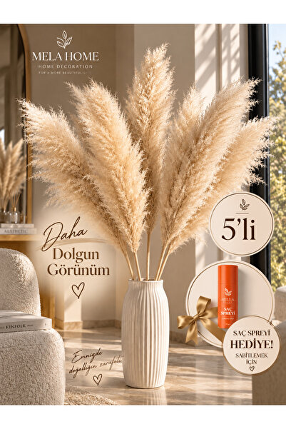 MELA 5li XXL Pofuduk & Kabarık Bohem Design Büyük Orjinal Doğal Kuru Pampas I...