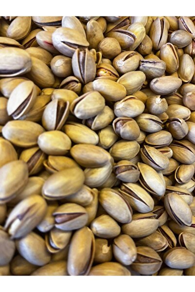 TMR Siirt Fıstığı Kavrulmuş Tuzlu 500 g