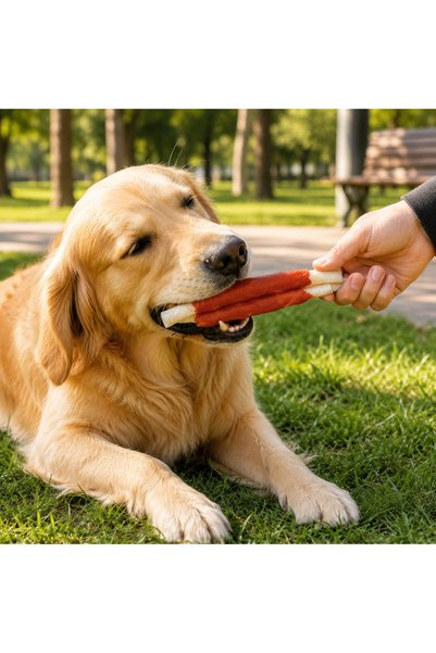 Petrix Twisted Stick Chicken Wrapped Dog Chew Treat (10 Pcs)