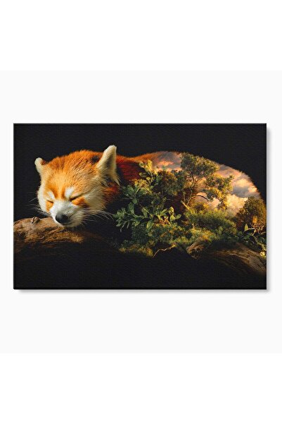 Luxcanva Tablou Canvas Panda Rosu Adormit 100x70 cm pe Sasiu Lemn Panda Rosu ...