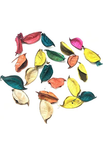 MSGH Dried Flower Leaves Beautiful Wooden Petals (Multicolour) (250 GM.)