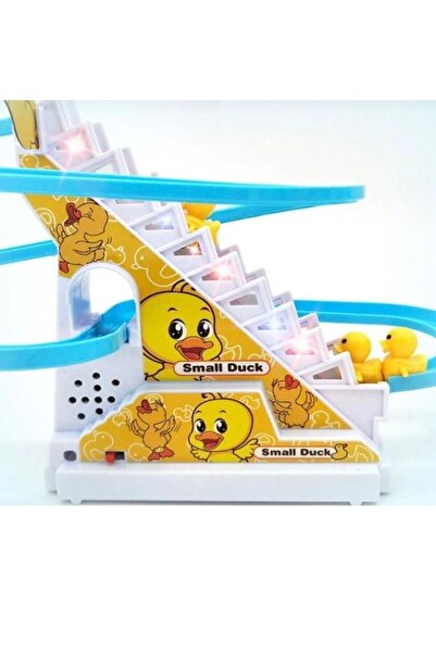 MERDİVEN SMALL DUCK