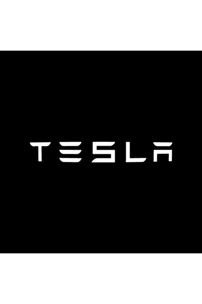 TESLA Tesla02 2/4pcs Car Door LED Logo Projector Lights HD Welcome Light 3D L...